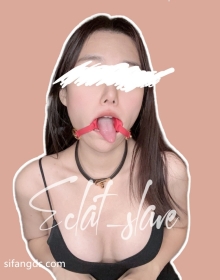 反差母狗 Eclat Slave  【390P/28V/1.7G】